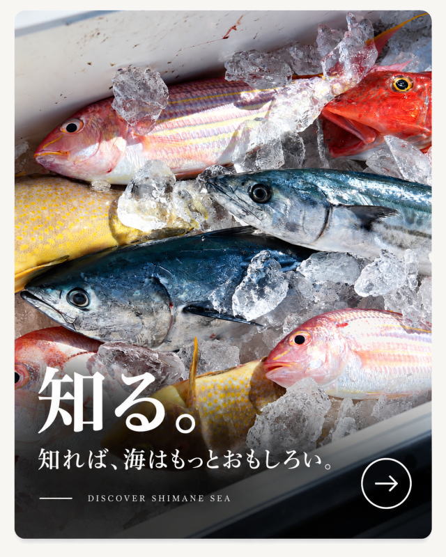 海彦｜島根の海を、もっとおもしろく。